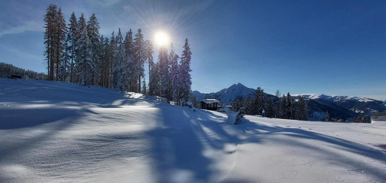 Apartment Michis Flachau