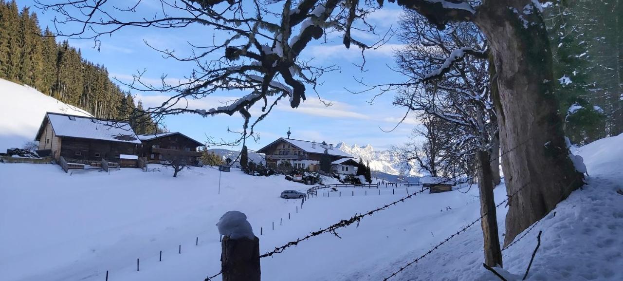 Apartment Michis Flachau