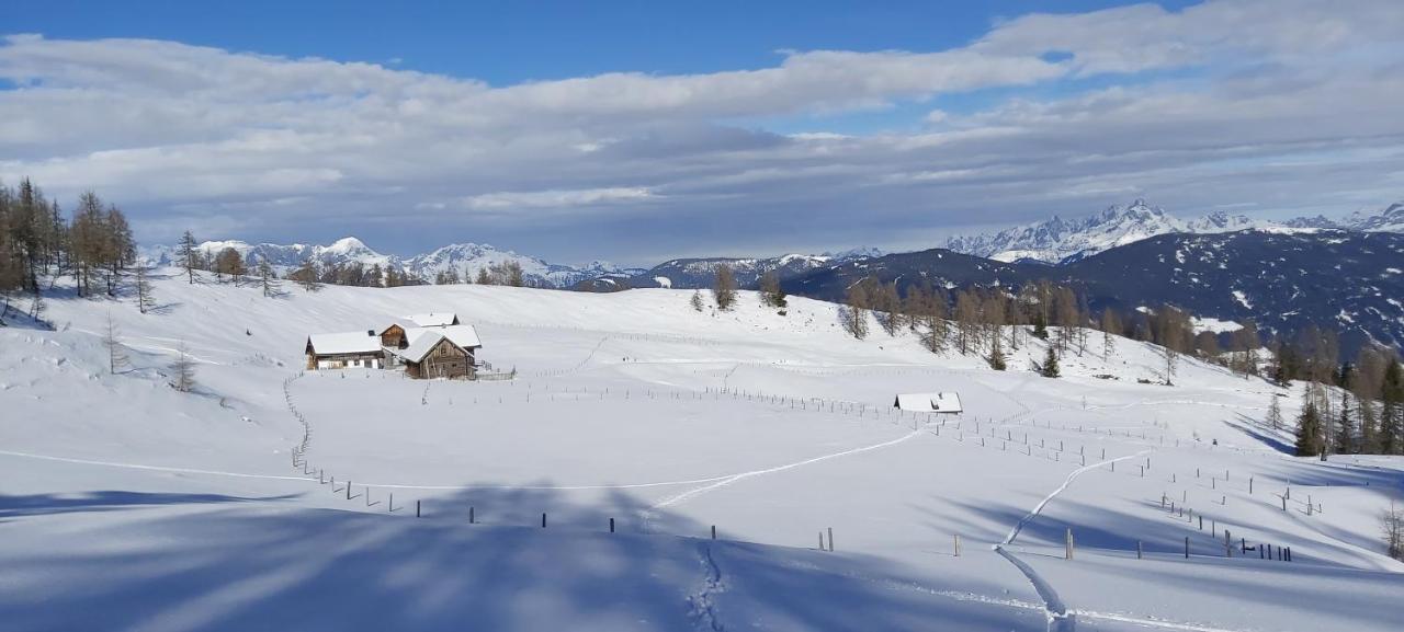 Michis Apartment Flachau