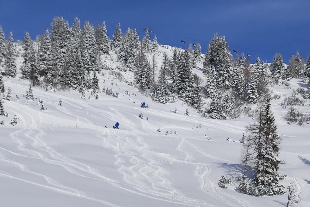 Michis Apartment Flachau