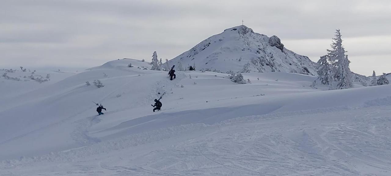 Michis Apartment Flachau